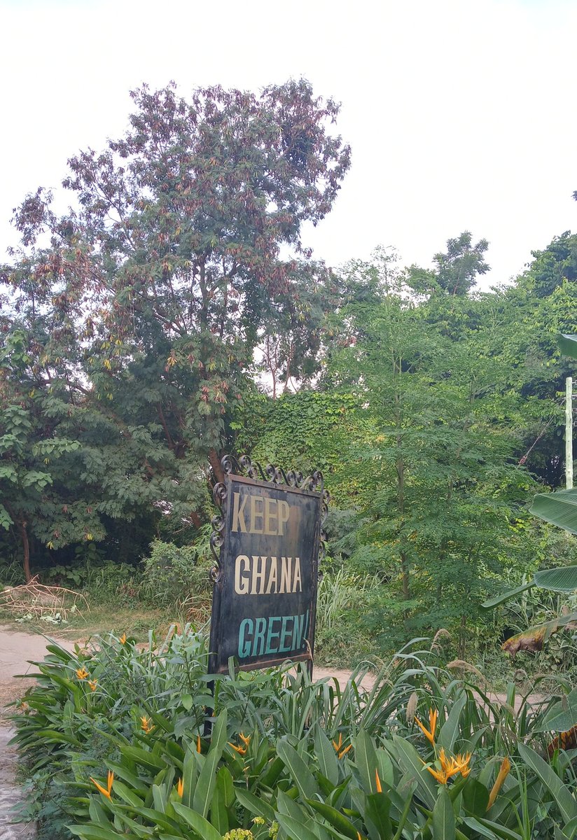 Con millones de fotos en la cabeza