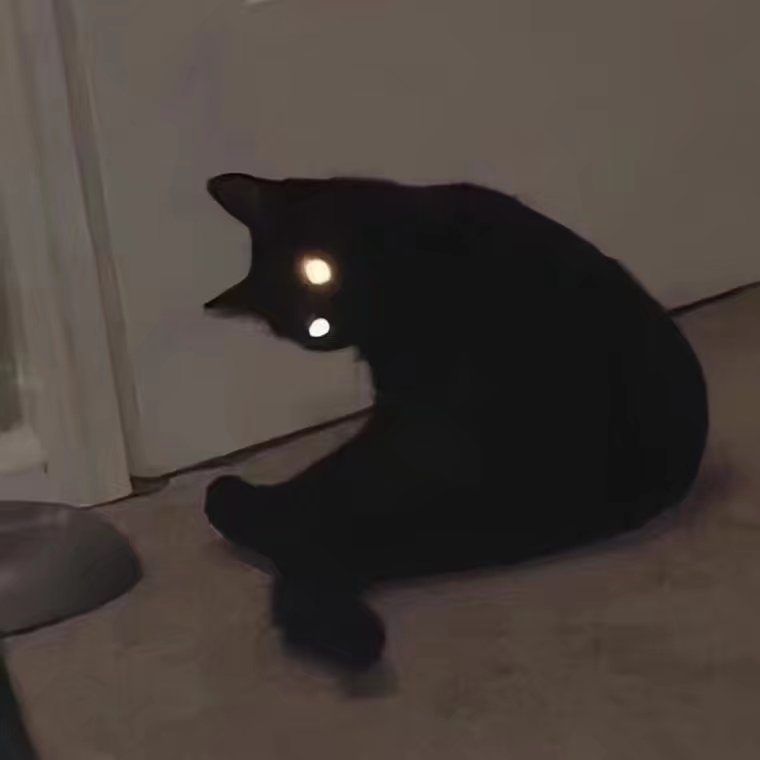 yufei_phoebe's tweet photo. cats i wanna have
🥺 https://t.co/WTVO8DRKOC