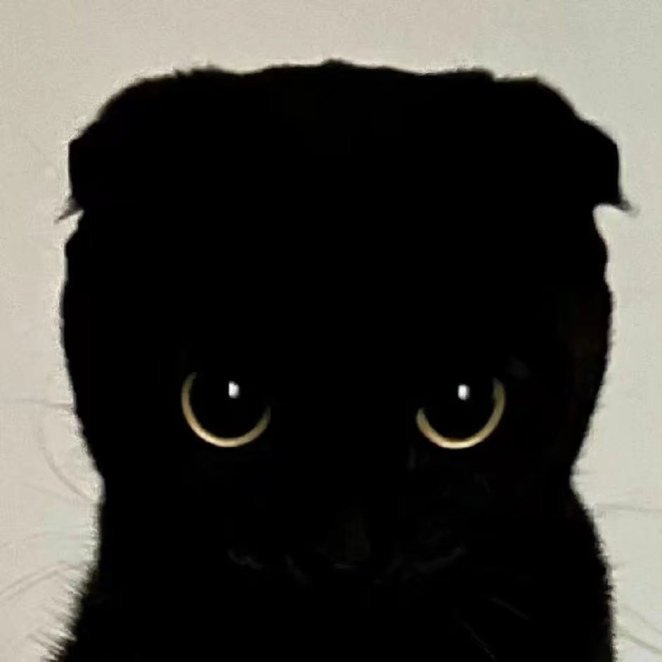 yufei_phoebe's tweet photo. cats i wanna have
🥺 https://t.co/WTVO8DRKOC