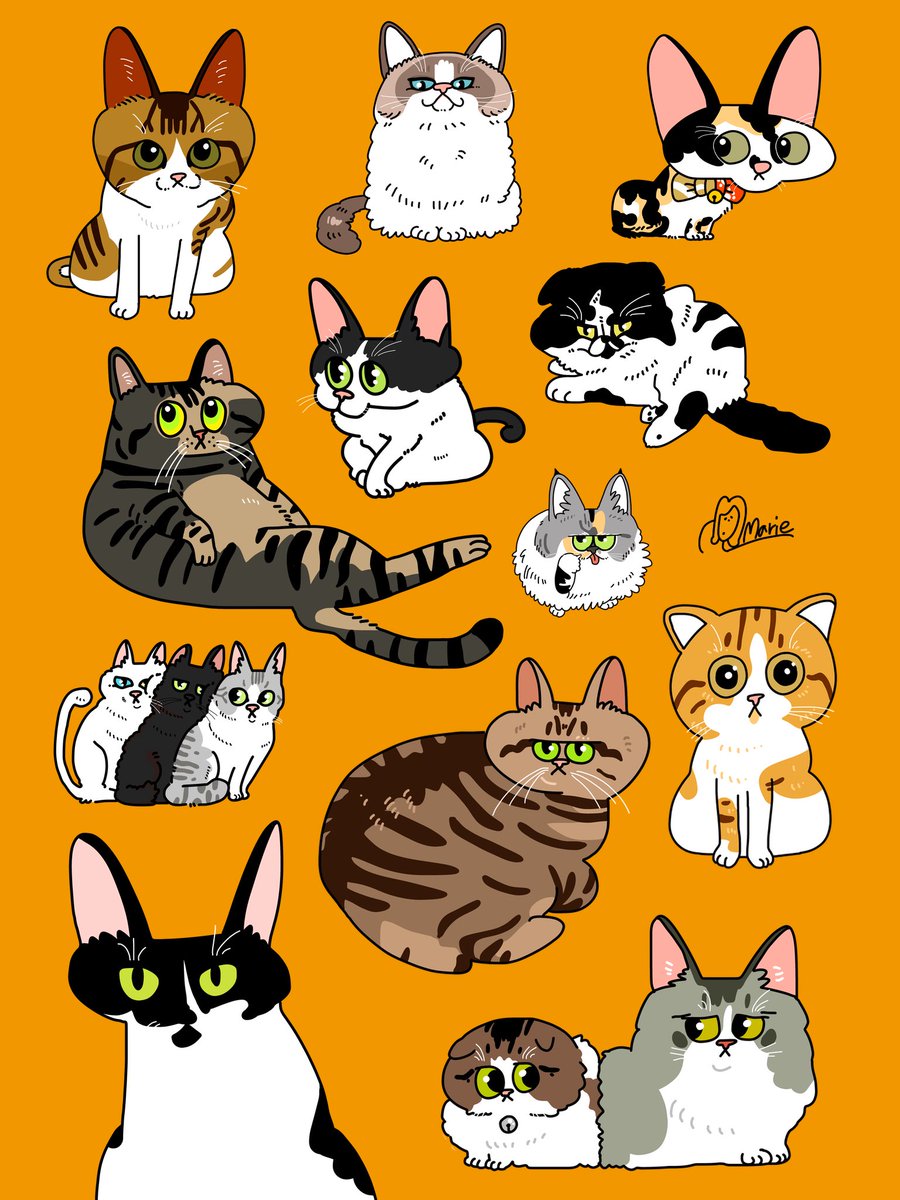 cat no humans animal focus simple background orange background signature looking at viewer  illustration images