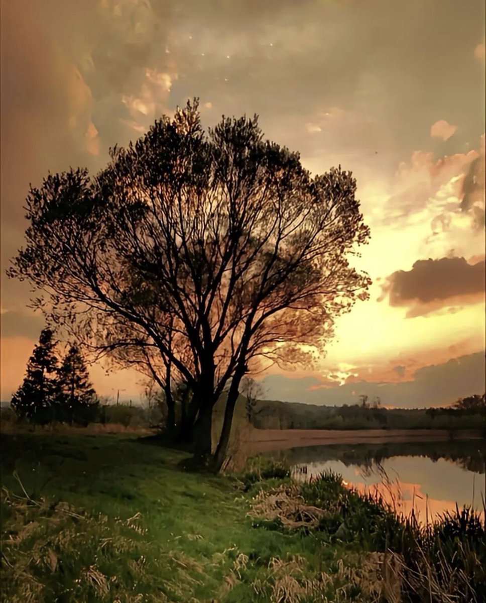 Good Evening Monday Dear Twitter Friends