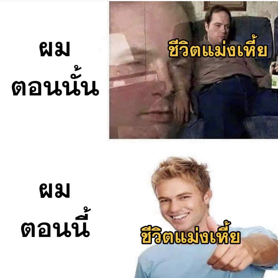 ช่างแม่ง🐰🏳️🌈 tweet media
