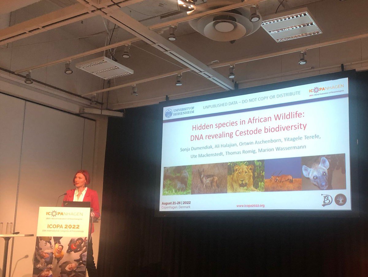 AliHalajian's tweet photo. @ICOPAnhagen 2022
Great to see my collaborative project with @UniHohenheim colleagues was well presented by #SonjaDumendiak at #ICOPA2022.
#WildlifeParasites #cestodes #biodiversity
#ICOPA2022Ambassador
#ICOPA2022SocialMediaAmbassador
#ICOPAnhagen
#Parasites #SouthAfricaParasites https://t.co/MTqDgqtqQa