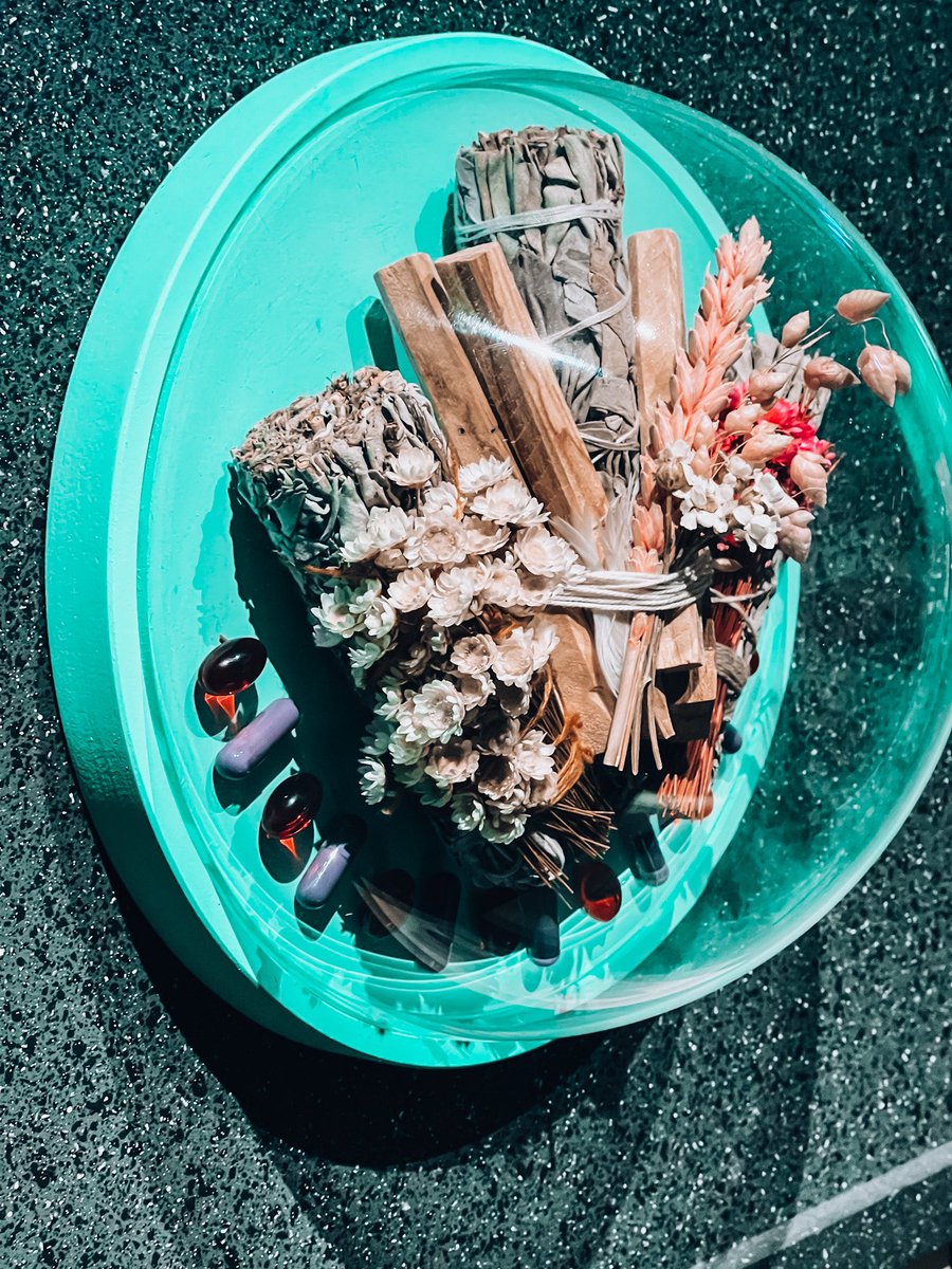 CandiceDagger's tweet photo. 🪴 SYMBIOTIC RELATIONSHIP 🪴

‘Plants are sensitive beings, attentive to the elements, connected to life forms around them rooted in the earth &amp; soil, but constantly adapting to survive &amp; flourish.’ 

@ExploreWellcome 💚

#RootedBeings #Plants #Fungi #Humans #Elements #Nature https://t.co/PsrrbJWhmS