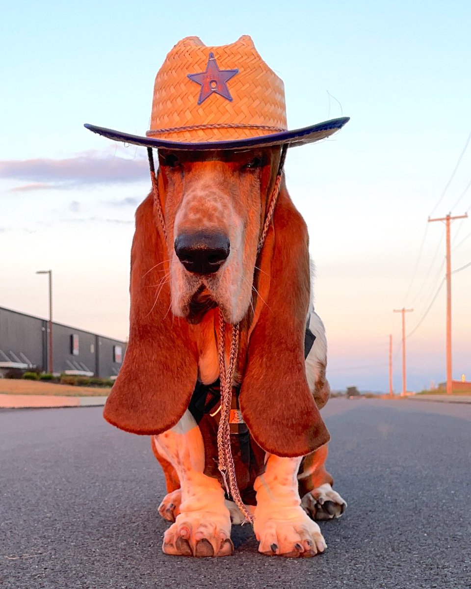 BentleyWaffles's tweet photo. We ride at dawn 💯😉🧇 https://t.co/cUFGJFCABZ