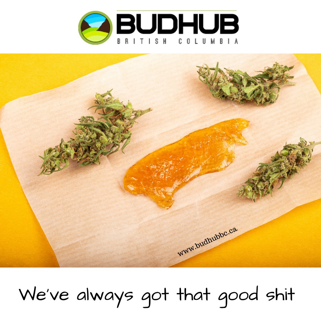 We’ve always got something for everyone - whether you love extracts or flower 🍃 check out budhubbc.com #Mmemberville #StonerFam #420shatter #shatter #420Life #420community #STONER #stonerchicks #cannabisculture #CannabisCommunity #cannabisnyc #CannabisNews