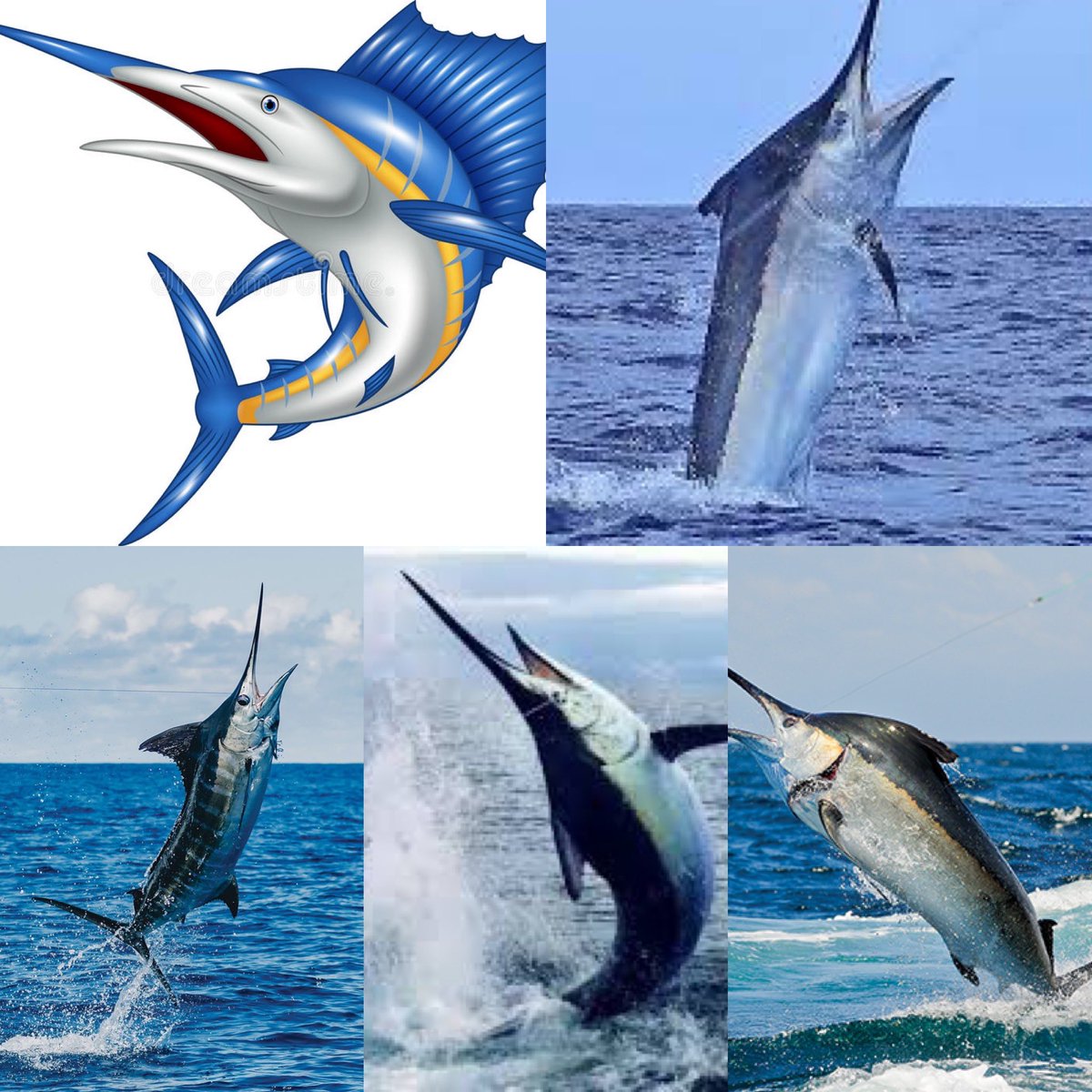 PetrosAndMoneyShow tweet media