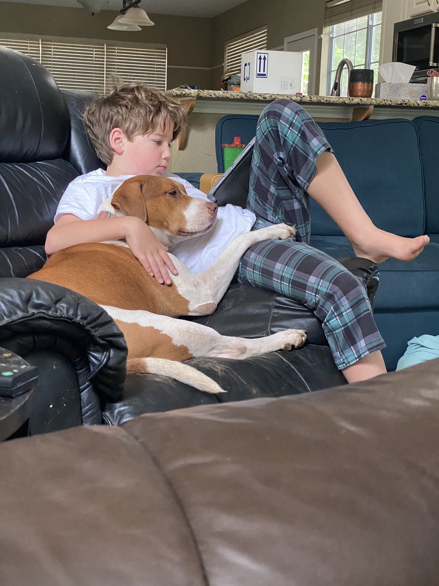 austinhighfive's tweet photo. @dog_rates @Trupanion https://t.co/zN0uMbvyvb