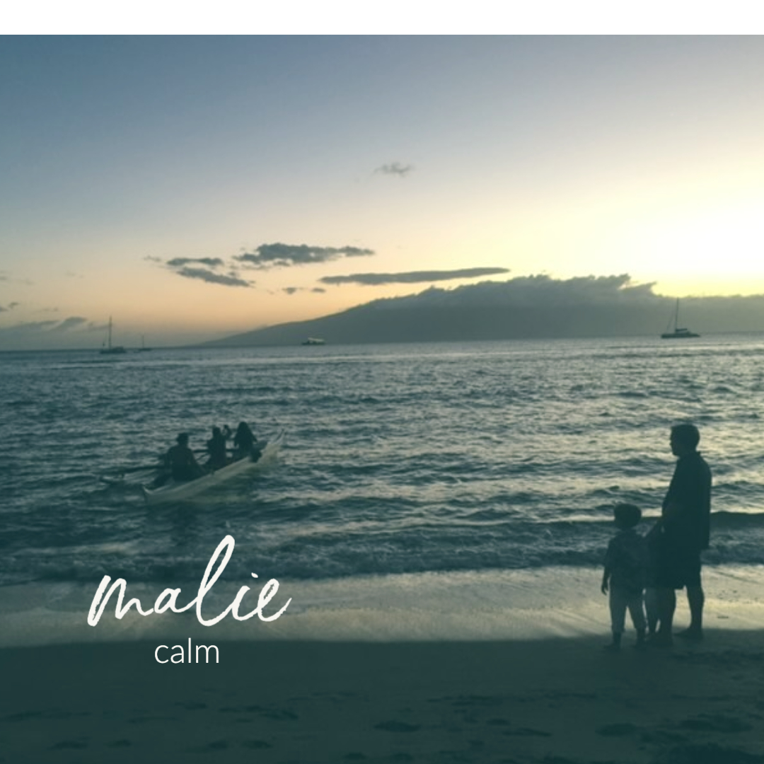 SheLivesAloha's tweet photo. Our word of the week. https://t.co/9qosUKYQQx 
#MindfulMonday https://t.co/XfR9zjv9ru