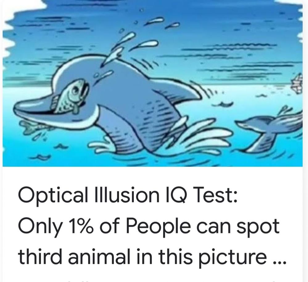 You've 2 days to guess this riddle, I'll give you the answer later