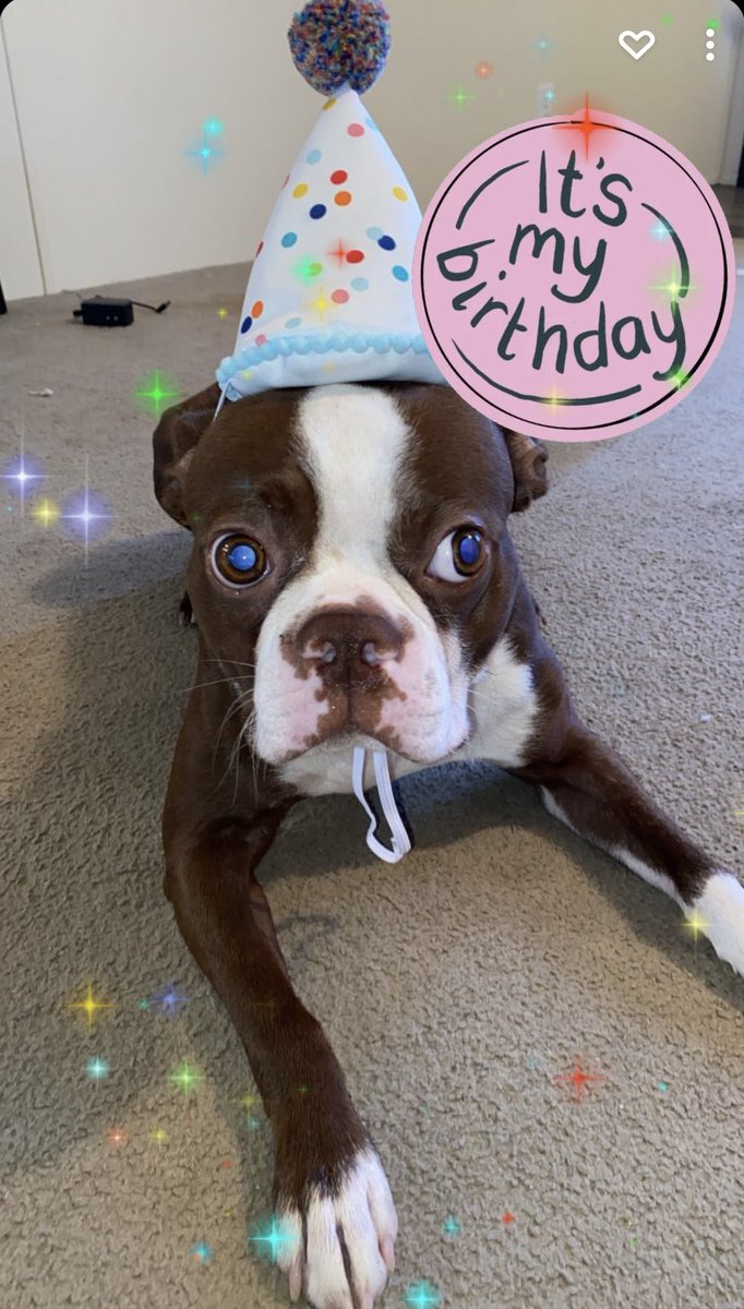 Rico Freako is 2 today. Don’t let the face fool ya, he loves his birthday hat
