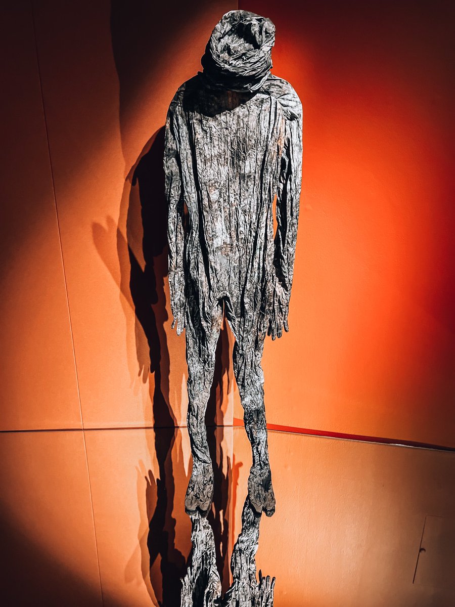 CandiceDagger's tweet photo. 🌱 ROOTED BEINGS 🌱

‘The plants rootedness in a place, their fidelity to the soil, is something we can only admire, especially because our condition is that of an increasing &amp; merciless uprooting.’ - Michael Marder 

@ExploreWellcome 🌱

#RootedBeings #Plants #Fungi #Humans https://t.co/njIxJZDpAJ