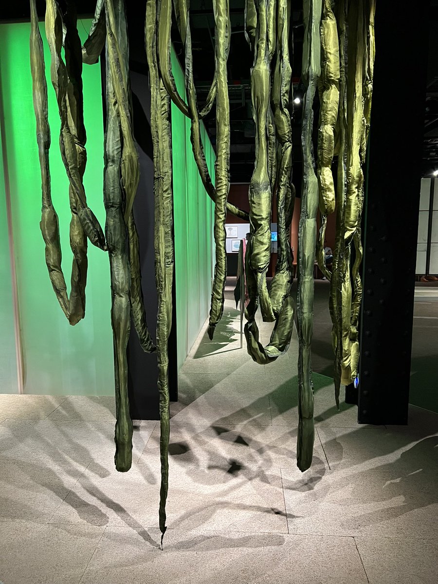 CandiceDagger's tweet photo. 🌱 ROOTED BEINGS 🌱

‘The plants rootedness in a place, their fidelity to the soil, is something we can only admire, especially because our condition is that of an increasing &amp; merciless uprooting.’ - Michael Marder 

@ExploreWellcome 🌱

#RootedBeings #Plants #Fungi #Humans https://t.co/njIxJZDpAJ