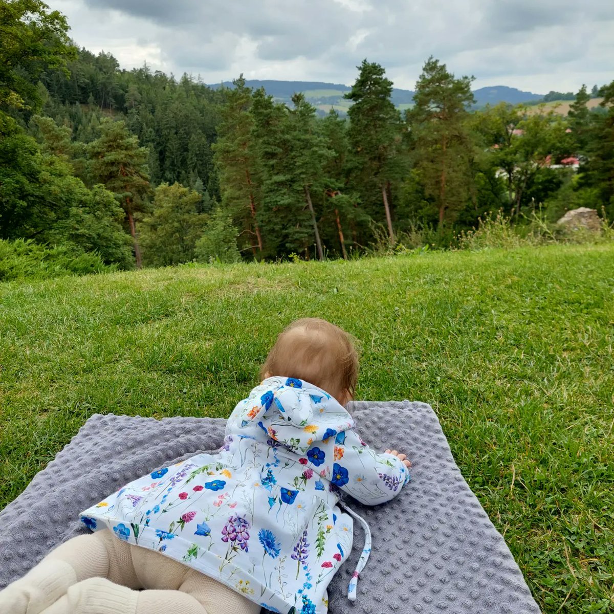 rose_yami's tweet photo. #welovesumava 💚 https://t.co/7lz30grxoB