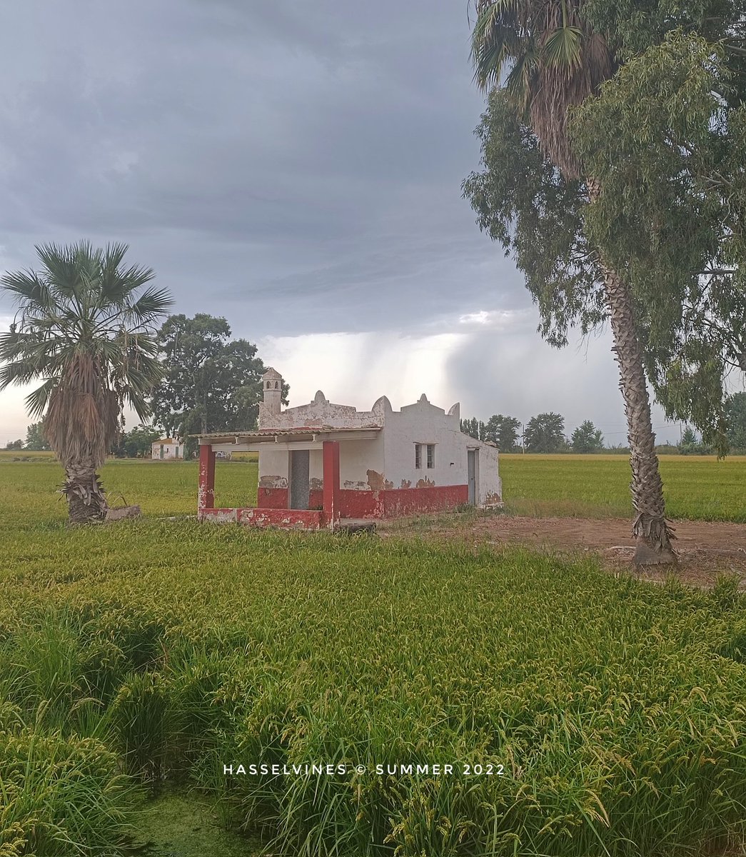 hasselvines's tweet photo. #Xiaomi11T #hasselvines #mediterranean #terresdelebre #sealife #beutifulplaces #deltadelebre #casetesdeldelta #fotografia #gravelbike #giantrevolt #morningstorm #gravellife #gravelterritori https://t.co/ooGQ4FHmFv