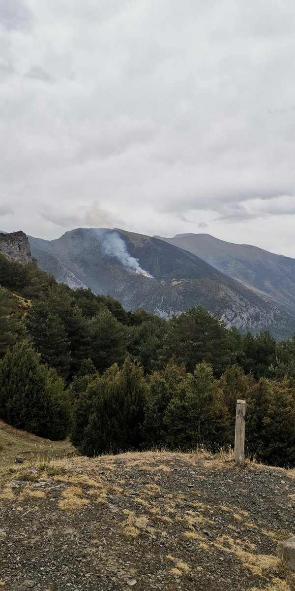 a_puertolas's tweet photo. #IFLaspuña Incendio forestal de Laspuña desde la Collada, hoy a las 18h https://t.co/k2YJlk5gUe