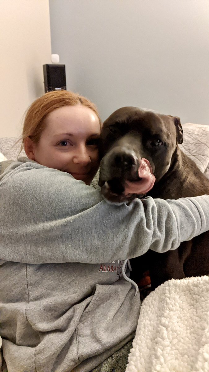 kylerae's tweet photo. @dog_rates @Trupanion Here’s my sweet old man Zeus, he will be 14 years old in October. His favorite past times are snuggling &amp; sunbathing https://t.co/kbIeu4vobp