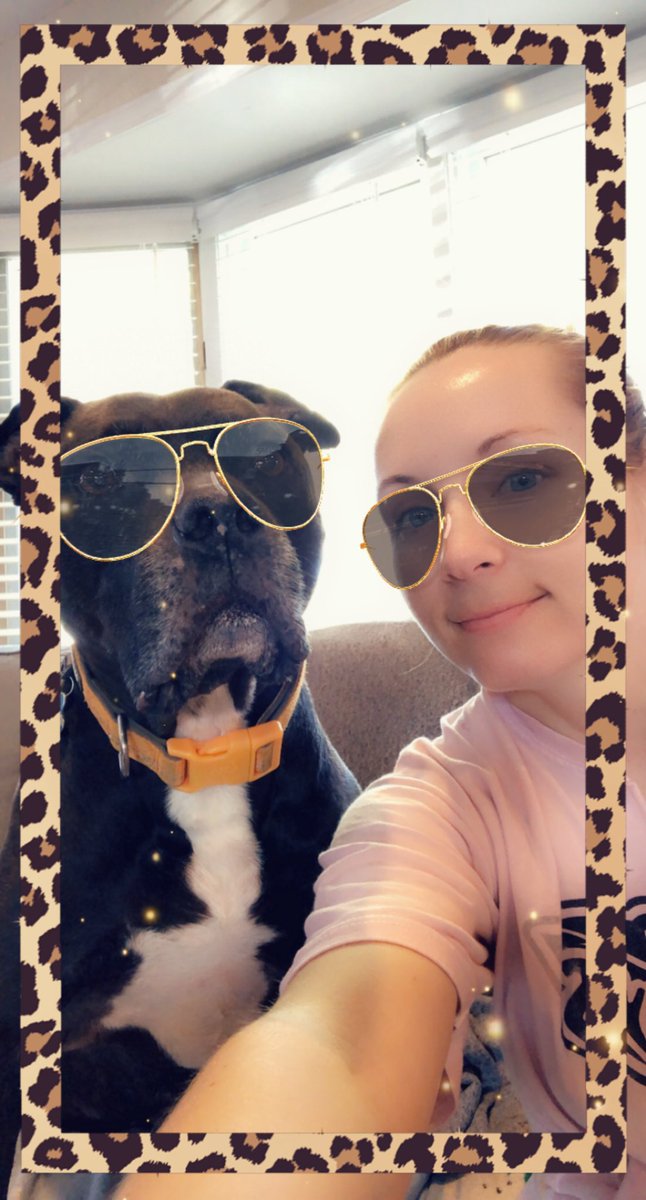 kylerae's tweet photo. @dog_rates @Trupanion Here’s my sweet old man Zeus, he will be 14 years old in October. His favorite past times are snuggling &amp; sunbathing https://t.co/kbIeu4vobp