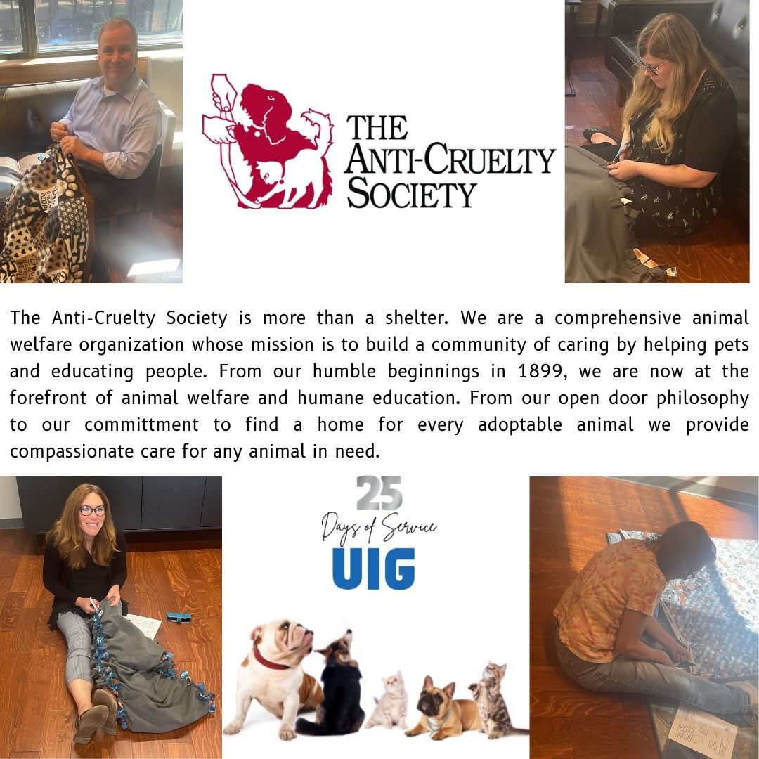 UnionInsurance's tweet image. Day 13 of #UIG25daysofservice was spent in the office making blankets for the The Anti-Cruelty Society! It was a lot of fun spending time with each other while crafting blankets to help the shelter animals feel more comfortable while they wait for their forever homes. #Volunteer