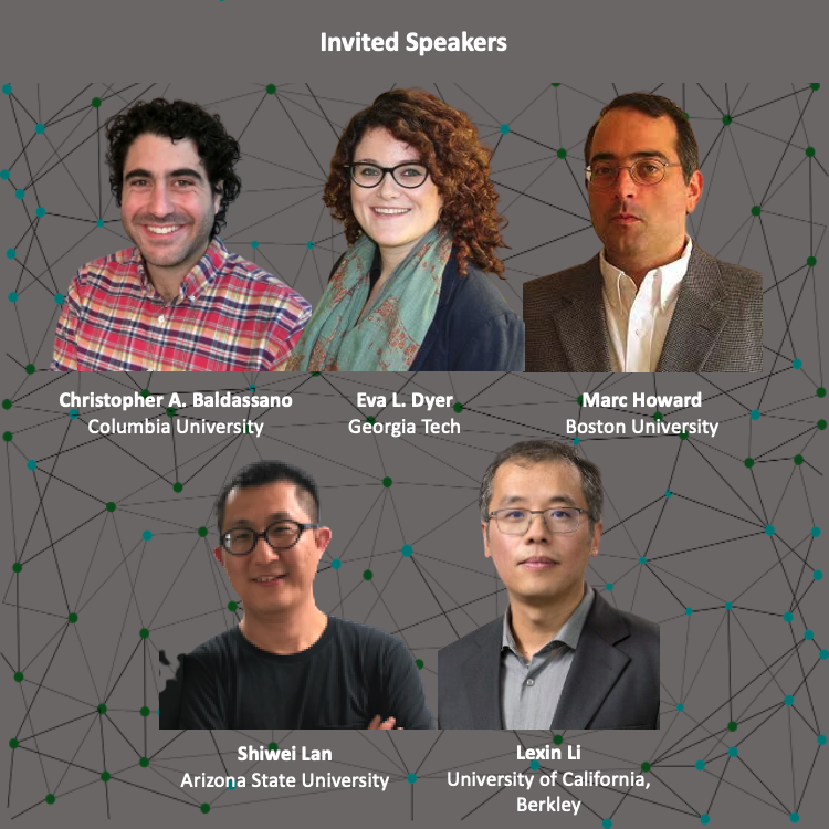 Multiscale Cell Fate Research tweet media