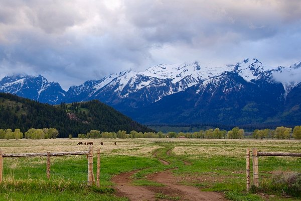 REEDITPHOTO's tweet photo. New artwork for sale! - "Grand Tetons Wyoming USA" - https://t.co/AqYs2Yh5FT @fineartamerica https://t.co/F5dVAMBA8V