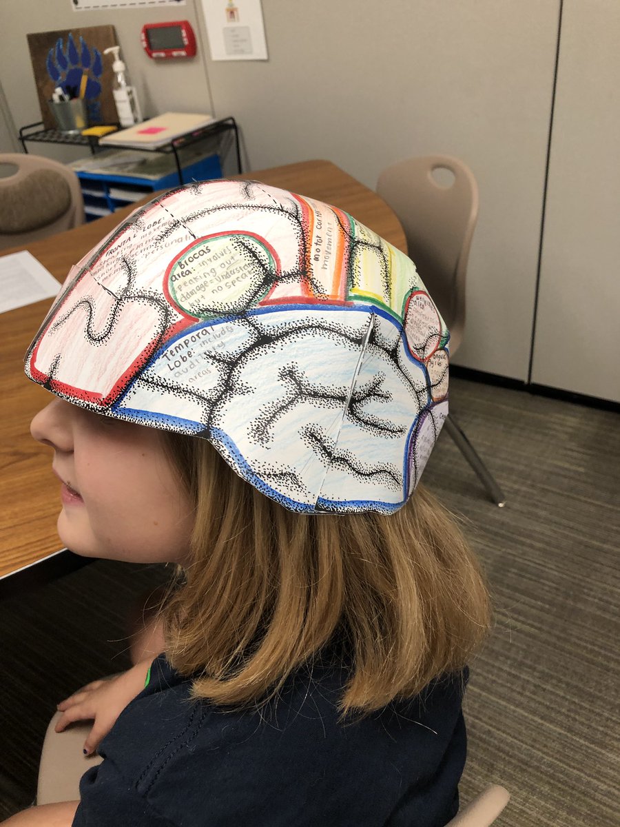 lisadross1's tweet photo. Today we learned that our brains are amazing! Our brains all look the same, but they all work differently. We all have strengths and weaknesses. In dyslexia class, we will celebrate our strengths and support and encourage each other! #ACEcubs #katyisddyslexia https://t.co/GKlv7D7u9k