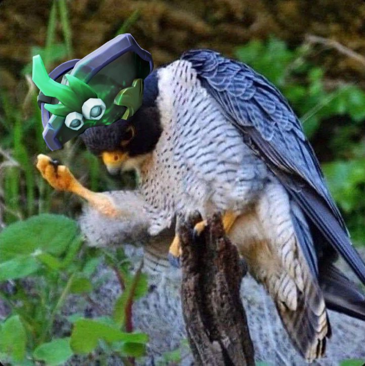 Xenlith's tweet photo. @TobiYukihoshi Now it's you lmao https://t.co/lI4CgJyopG