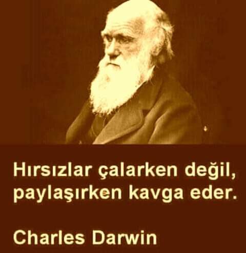 dusunce_ve_soz's tweet photo. Hırsızlar çalarken değil, paylaşırken kavga eder.
Charles Darwin https://t.co/rlnfXIODE0