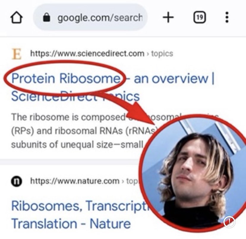 <a href="/porterrobinson/">porter robinson</a>