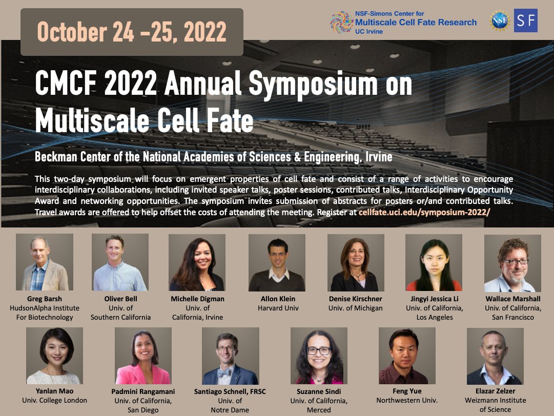 Multiscale Cell Fate Research tweet media