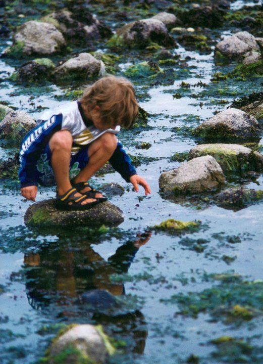 Barclay Hope 🇨🇦 tweet media