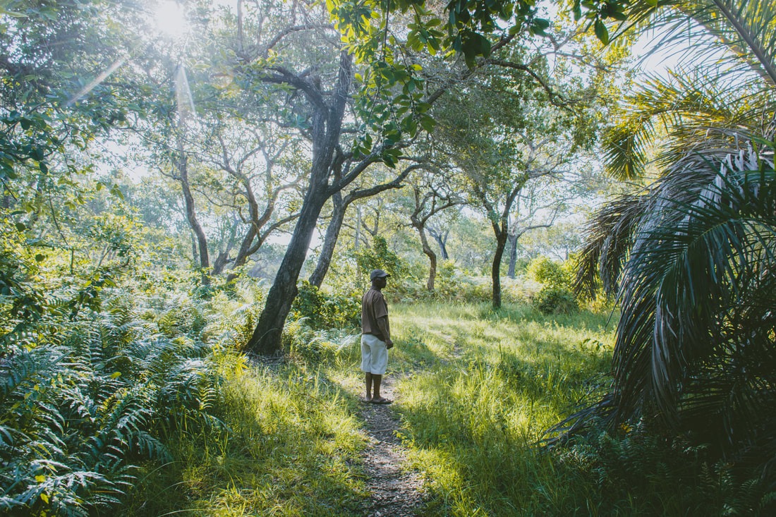 Latest episode of our #TravelPodcast is out - special guest <a href="/Melanie_vanZyl/">Melanie van Zyl</a> joins us to share our favourite tips for exploring #KwaZuluNatal in #SouthAfrica - Download by searching #InspiringAfricanTravel wherever you podcast or on: inspiringafricantravel.com 

>

#KZN #ThisIsKZN