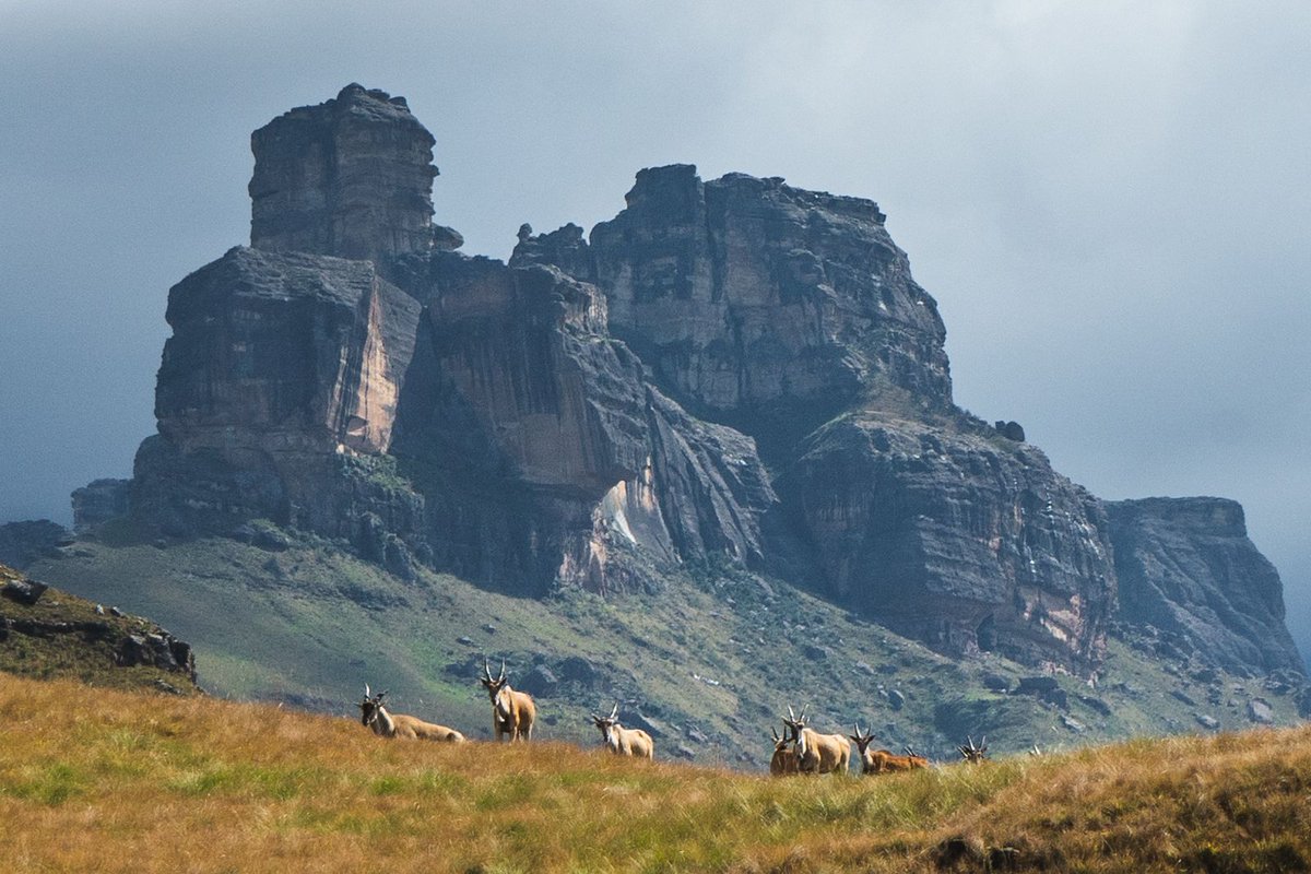 Inspiring African Travel tweet media