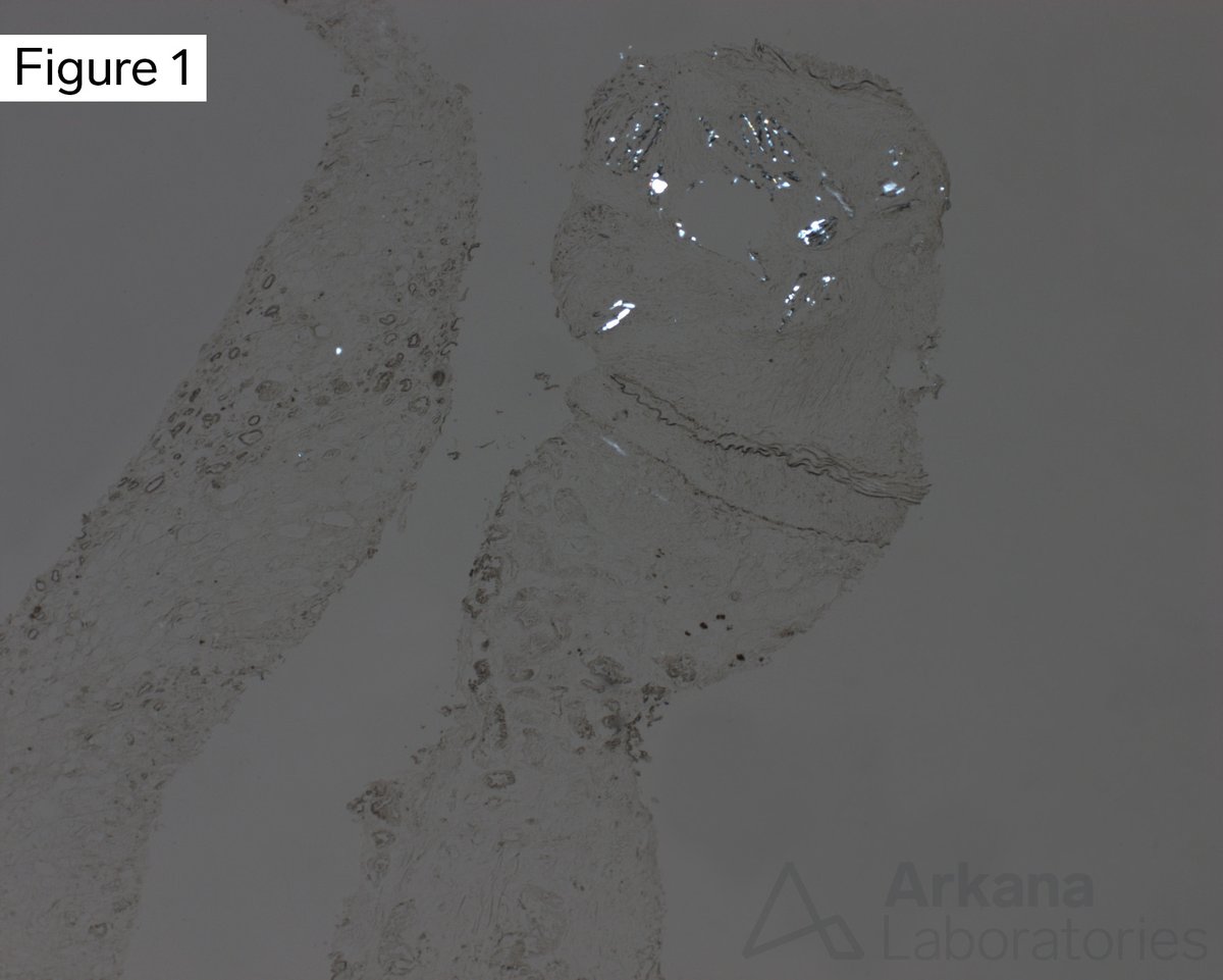 Arkana Laboratories tweet media