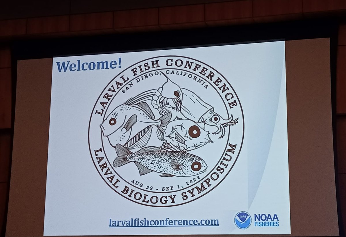 AmfariaLab's tweet photo. Ana Faria already checked in at the @LFC45SANDIEGO representing the #amfarialab #scienceconference #larvalfish #larvalbiology #SanDiego https://t.co/LqYHXQYxgX