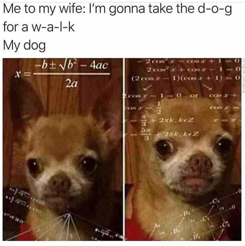 WholesomeMeme's tweet photo. https://t.co/IhV1FEWh0i