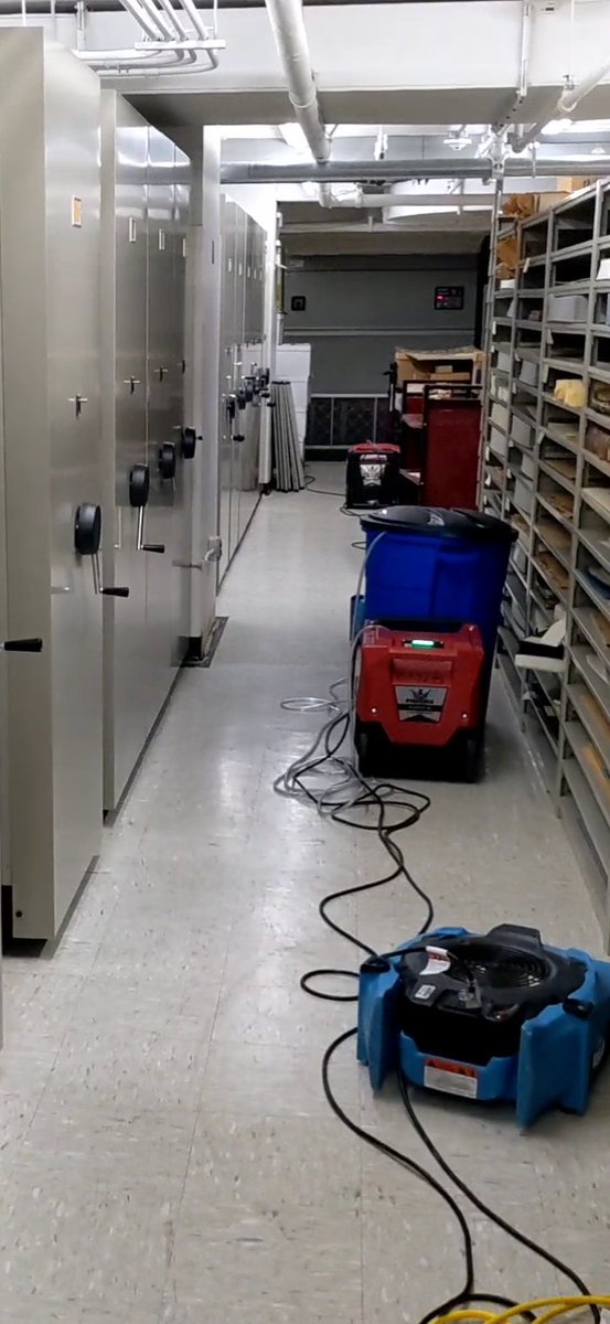 Rutgers Special Collections & University Archives tweet media