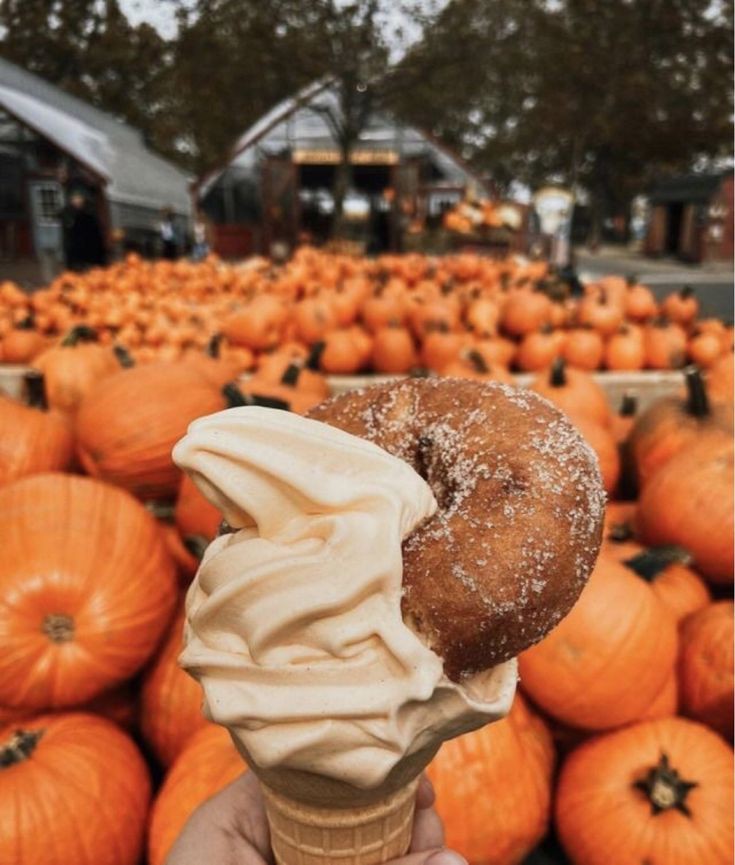 NosCalanGaeaf's tweet photo. Spooky time looking TASTY!😋
🎃🍂☕️👻🎃🍂☕️👻🎃🍂☕️👻
#Halloween #Autumn #Fall https://t.co/TZwGEdkP08