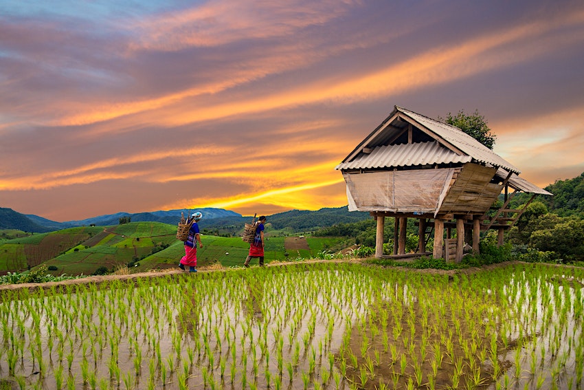 CarloDeCastris's tweet photo. Find the best national park to work into #travelplans for visiting #Thailand.  https://t.co/zNg8WApKyP https://t.co/tNnFVHPjed