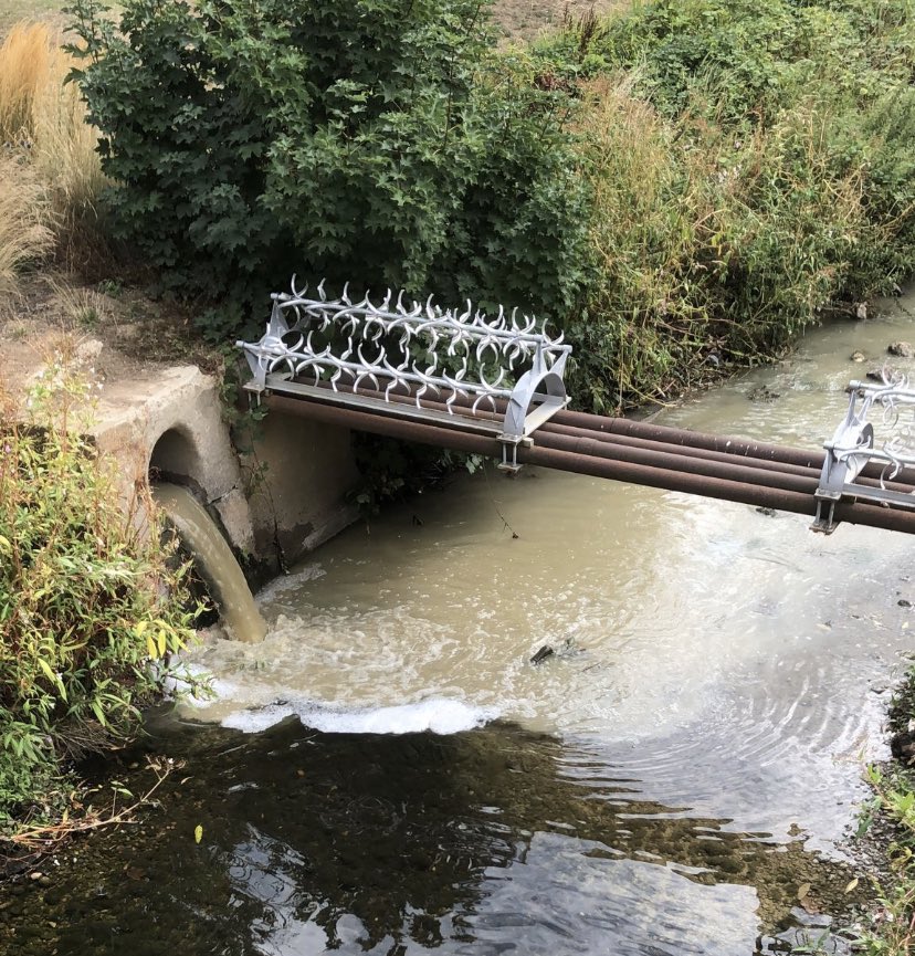 CURB - CleanUptheRiverBrent #CURB tweet media