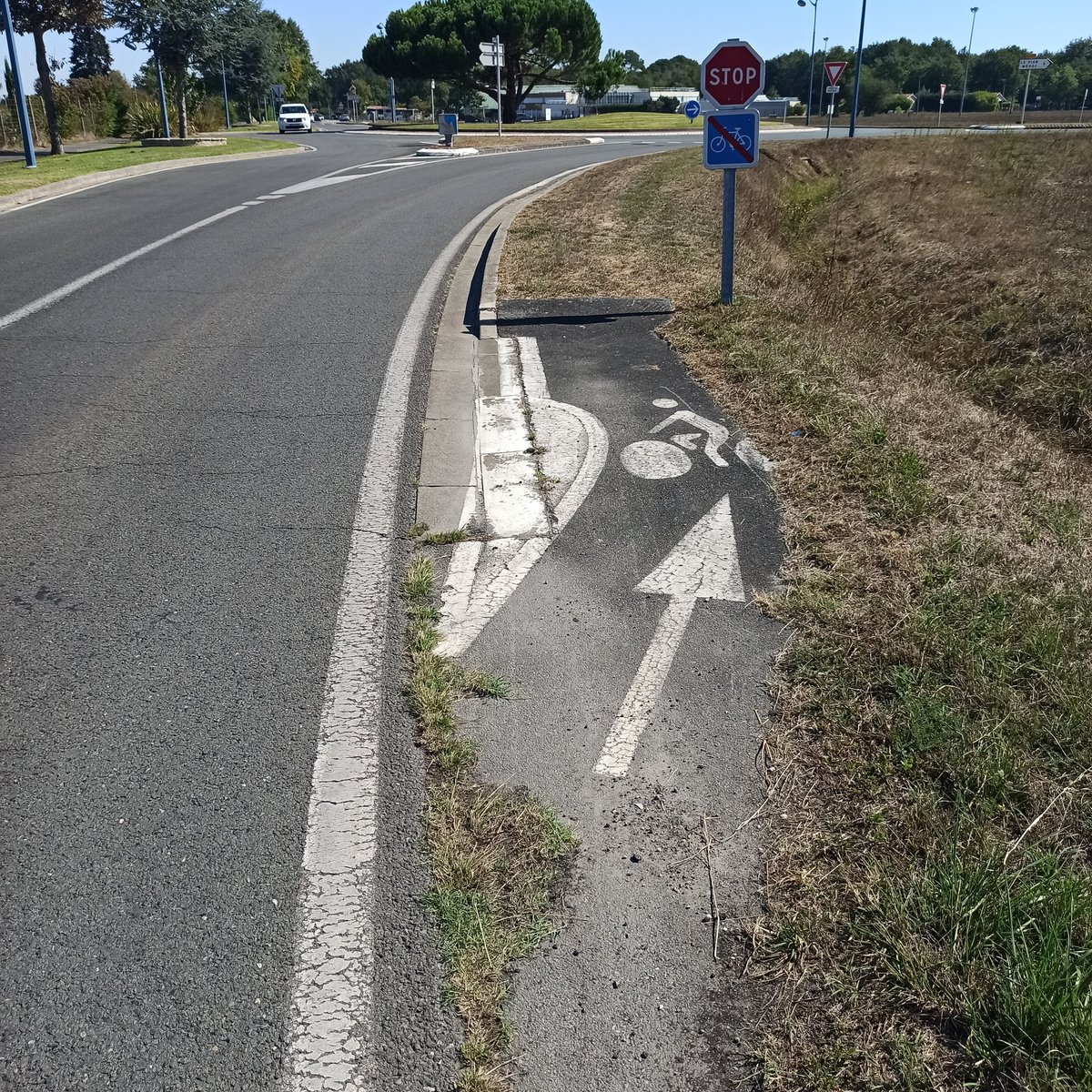 preciousdoe3's tweet photo. Carnet rose 
Image rare capturée en pleine nature d'un bébé "piste cyclable".
Tous nos vœux de bonheur aux parents! https://t.co/J0TikhUjKN