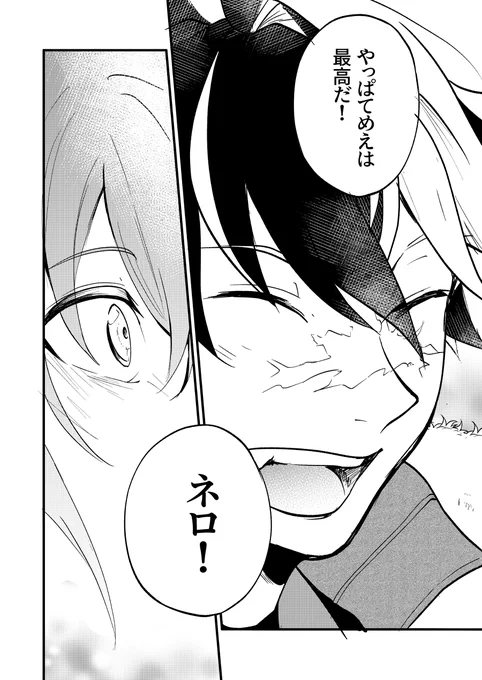 (8/8) 
