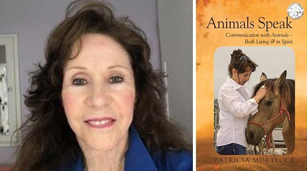 SHOUTmyBook's tweet photo. Highly recommended - If you love animals, this book will increase your appreciation for their presence in our lives and the friendships that they offer. @patriciaanimals @kitcatlyon https://t.co/raYUUJVcuw https://t.co/yE14S9siur