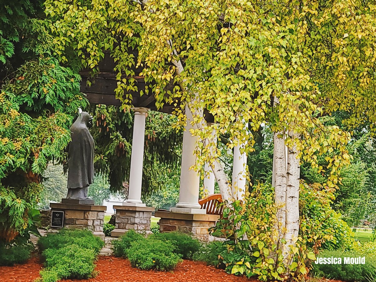 StritchCEEI's tweet photo. Campus looks so beautiful with all the lush green trees and grass. Welcome back Wolves!!!! 🐺 #cardinalstritchuniversity  #Milwaukee #Stritchcampus #Wisconsin https://t.co/J6ANGApWbl