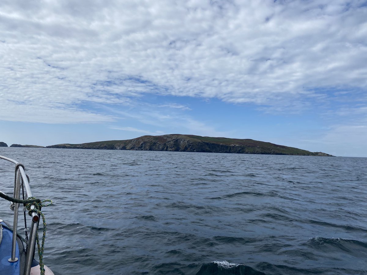 Home for the next few nights 👌

#calfofman