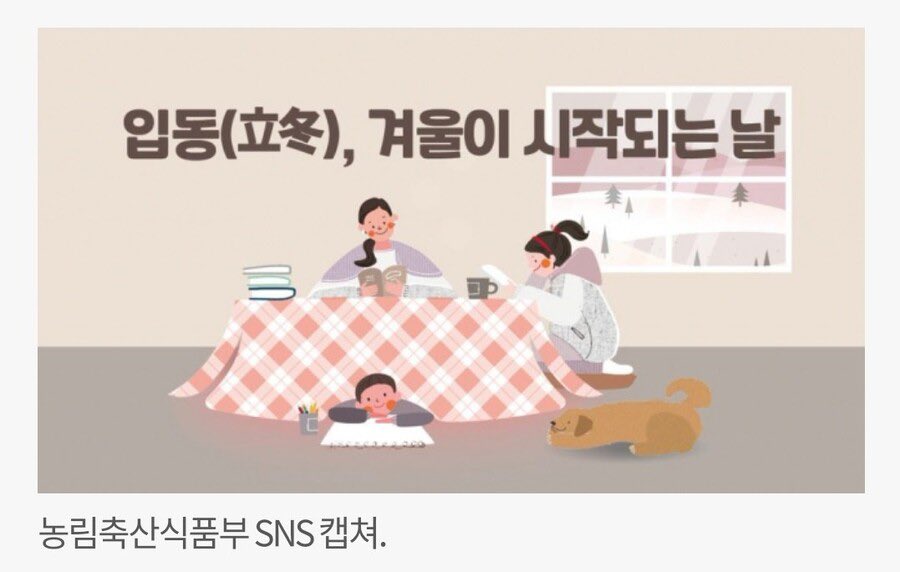 loliparty's tweet photo. 지금 정부는 일본 정부가 맞는 거 같다. 
코타츠에 들고 먹는거에 총독부건물 ㅋㅋㅋㅋㅋㅋㅋㅋㅋㅋㅋㅋㅋㅋㅋㅋㅋㅋㅋㅋㅋㅋ https://t.co/VfBEIkV7u4