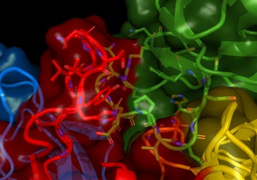 esrfsynchrotron's tweet photo. 📢 #SpotlightonScience

Scientists using #crystallography at ESRF beamlines ID23-1 and ID29 have identified a possible drug target site common to flaviviruses including tick-borne encephalitis virus. Results in @NatureComms.

Read here: ▶ https://t.co/oEJiLEs9Gr

@lightsources https://t.co/URPOWX1BZO