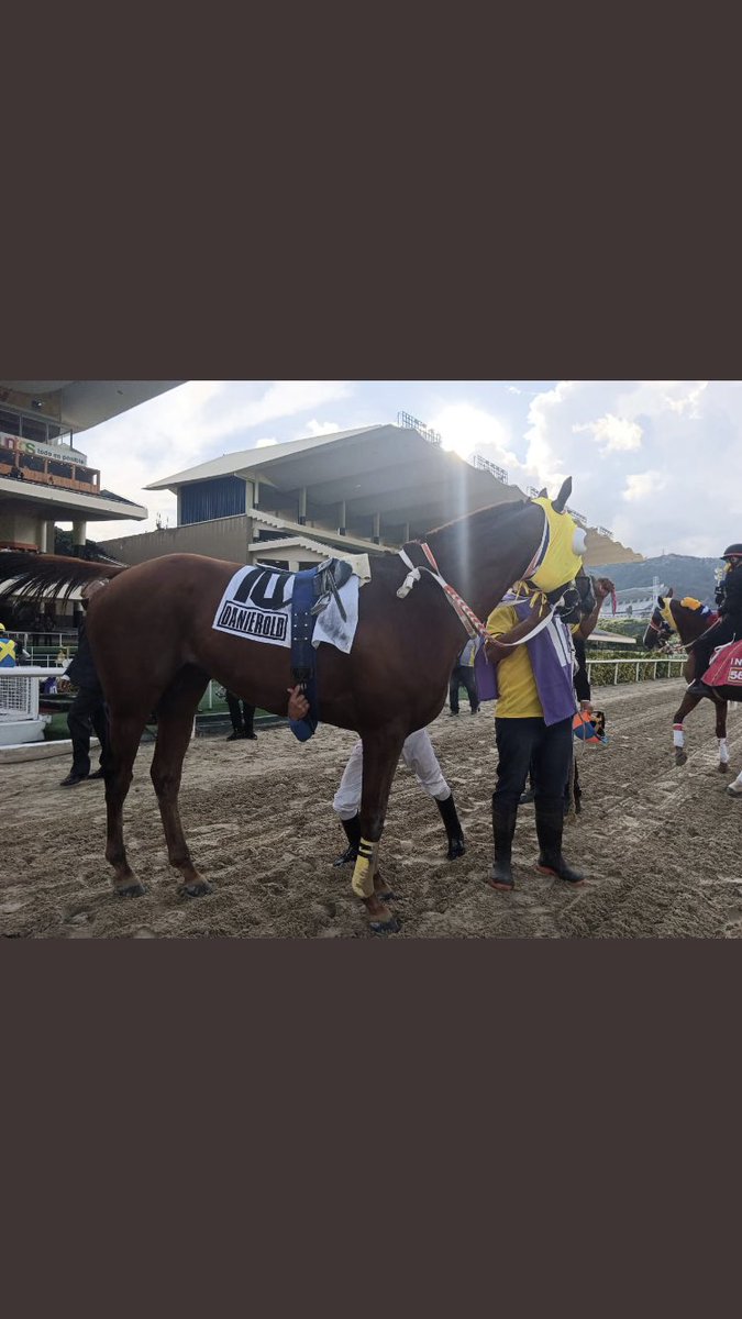 LineaDelSamurai's tweet photo. Resumen de la Gala:

☑️Las Potrillas mejor que los potrillos en su debut

☑️Srta Chenoma, con rapidez muy versátil

☑️Volvieron My Titico Mate y Sandovalera a la victoria

☑️El De Froix, se consolida como un gran millero

☑️Danierold, sorprendió en el tiro a propios y extraños https://t.co/DRAiF58c7K