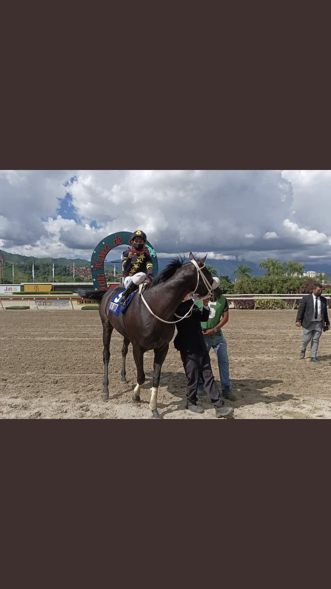 LineaDelSamurai's tweet photo. Resumen de la Gala:

☑️Las Potrillas mejor que los potrillos en su debut

☑️Srta Chenoma, con rapidez muy versátil

☑️Volvieron My Titico Mate y Sandovalera a la victoria

☑️El De Froix, se consolida como un gran millero

☑️Danierold, sorprendió en el tiro a propios y extraños https://t.co/DRAiF58c7K