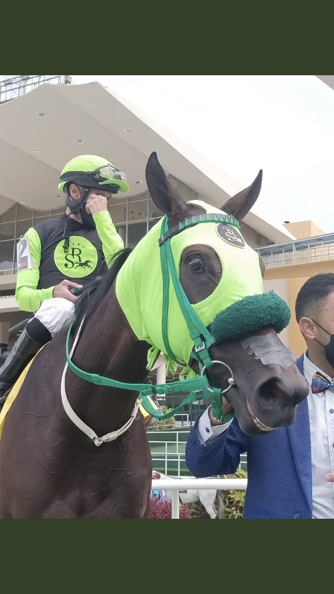 LineaDelSamurai's tweet photo. Resumen de la Gala:

☑️Las Potrillas mejor que los potrillos en su debut

☑️Srta Chenoma, con rapidez muy versátil

☑️Volvieron My Titico Mate y Sandovalera a la victoria

☑️El De Froix, se consolida como un gran millero

☑️Danierold, sorprendió en el tiro a propios y extraños https://t.co/DRAiF58c7K